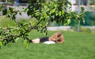 How nice it is to lie in the grass. © FB Gruppen A/S A person lies on a lawn